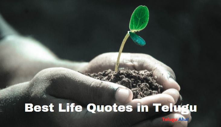 Best Life Quotes in Telugu