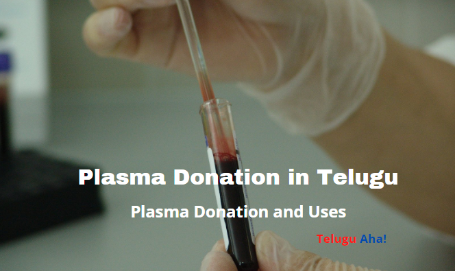 Plasma Donation in Telugu