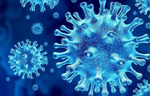 Rumors and Facts About COVID-19 Coronavirus Transmission