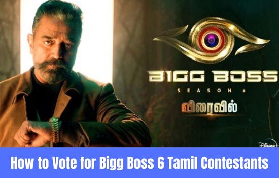 how-to-vote-for-bigg-boss-6-tamil-contestants